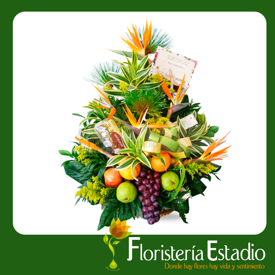 lantano salchicha importante Aves del paraiso Con Frutas & Chocolates - Floristería Estadio Medellín