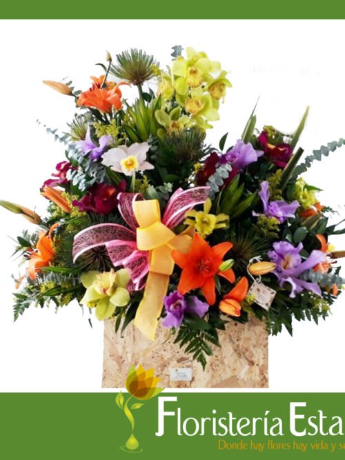Encanto de orquideas