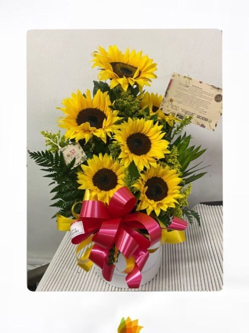 Caja de girasoles