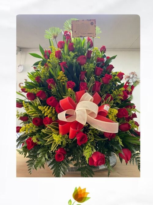 Encanto de Rosas
