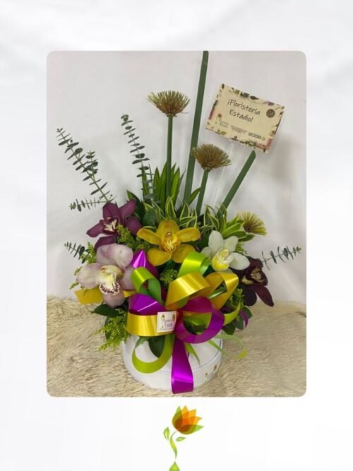 Caja sorpresa cimbidium