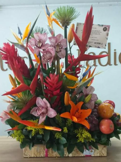 Encanto Tropical