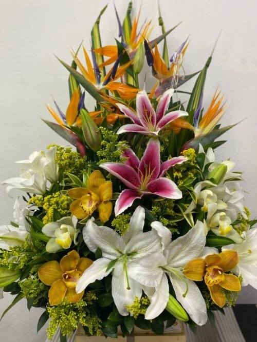 Elegancia Tropical