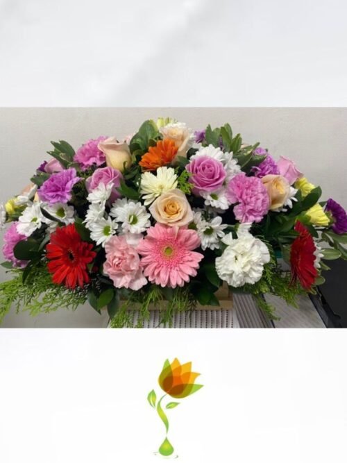 DELICADEZA