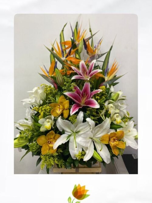 Elegancia Tropical