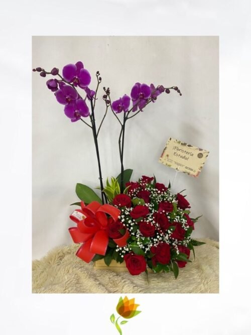 Rosal de Orquídea