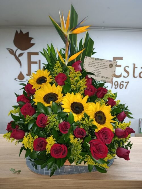 WhatsApp Image 2026-01-28 at 6.39.21 PM